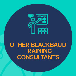Your nonprofit can check out other nonprofit consultants for more customized Blackbaud training.