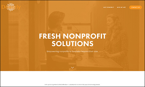 The nonprofit consultants at Donorly are experts at helping small orgs build capacity through prospecting.