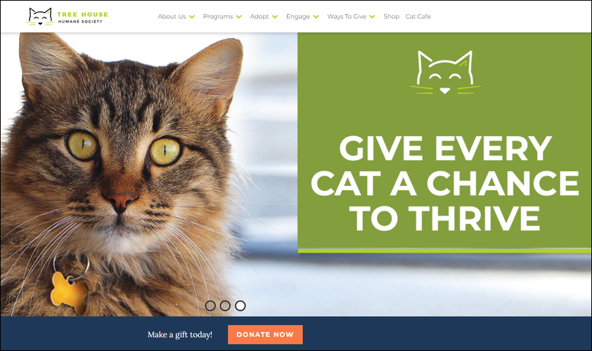 Tree House Humane Society is a top nonprofit website for its clear, bold design and integrated tools.