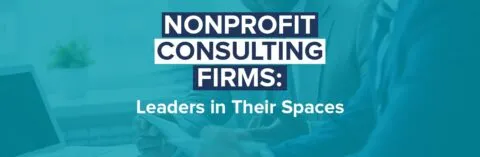 The title of the article, Nonprofit Consulting Firms: Leaders in Their Spaces