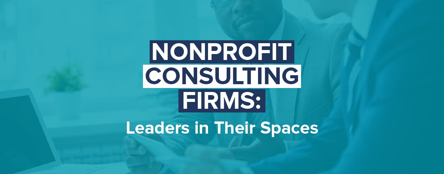 The title of the article, Nonprofit Consulting Firms: Leaders in Their Spaces