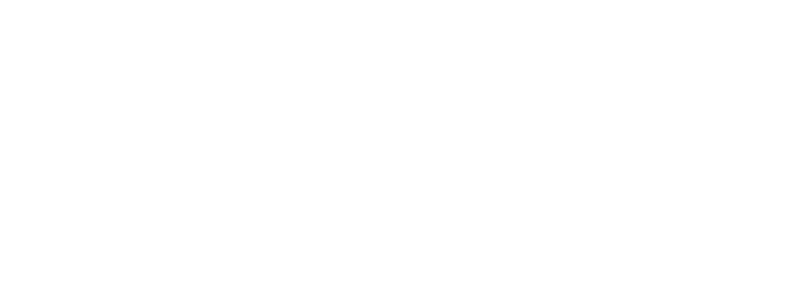 Literacy Connects logo