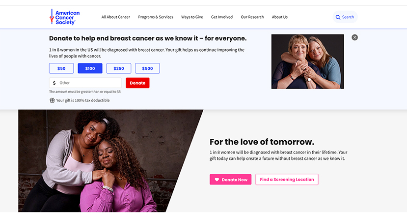 Screenshot of the American Cancer Society website