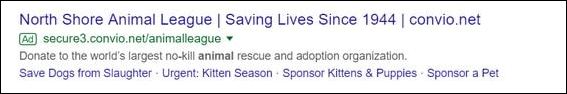 This example Google AdWords ad for a nonprofit directs to a donation page.
